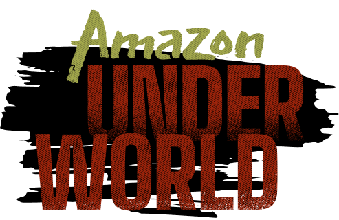 Amazon Under World