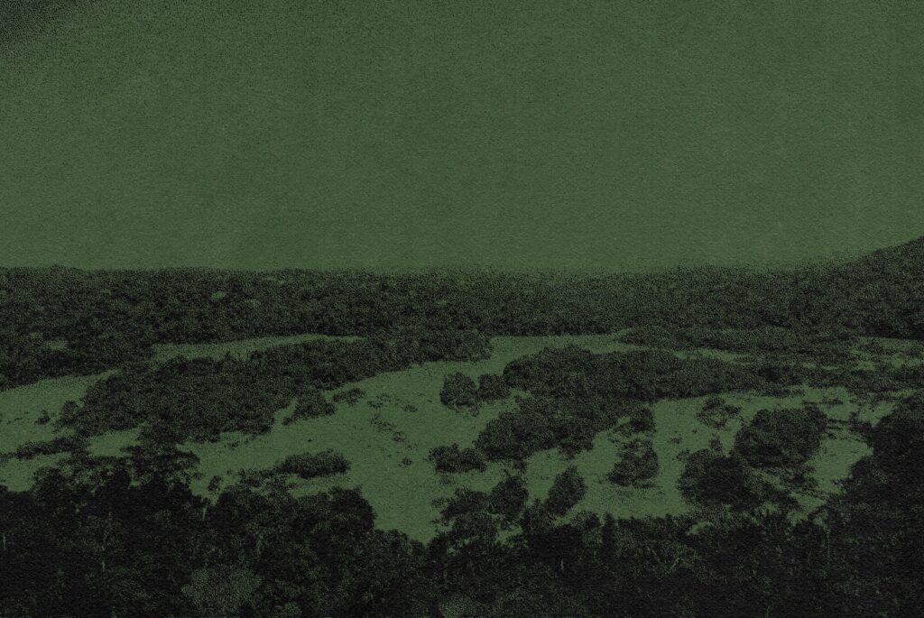 Crime bleeds the Amazon and invades our homes